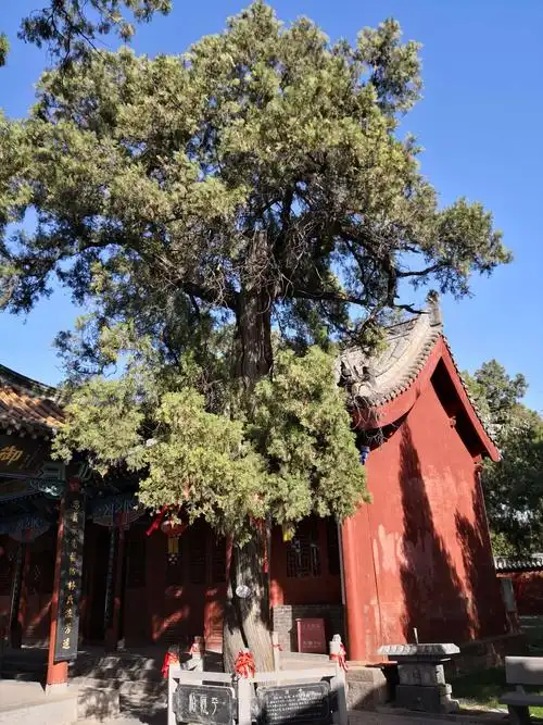 河南新乡卫辉——比干庙