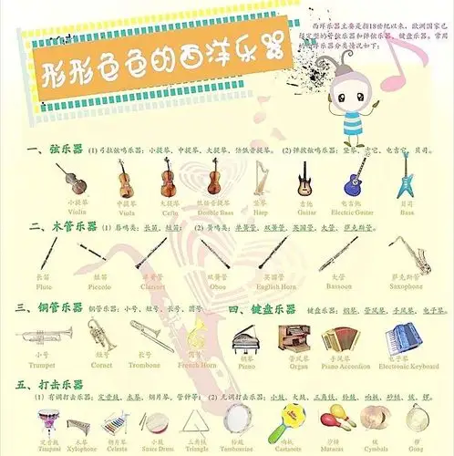 西洋乐器主要是指18世纪以来,欧洲国家已经定型的管弦乐器和