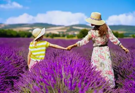 母亲背影学生图片