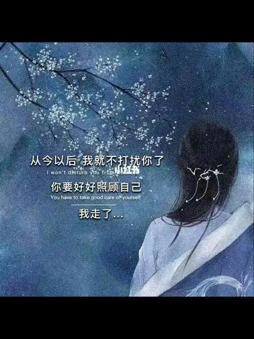 从今以后我就不打扰你了
