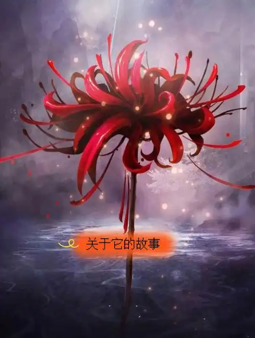 彼岸花的故事