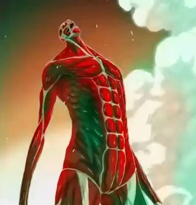 进击的巨人:九大巨人能力与宿主总结,第三季谁的人气最高?