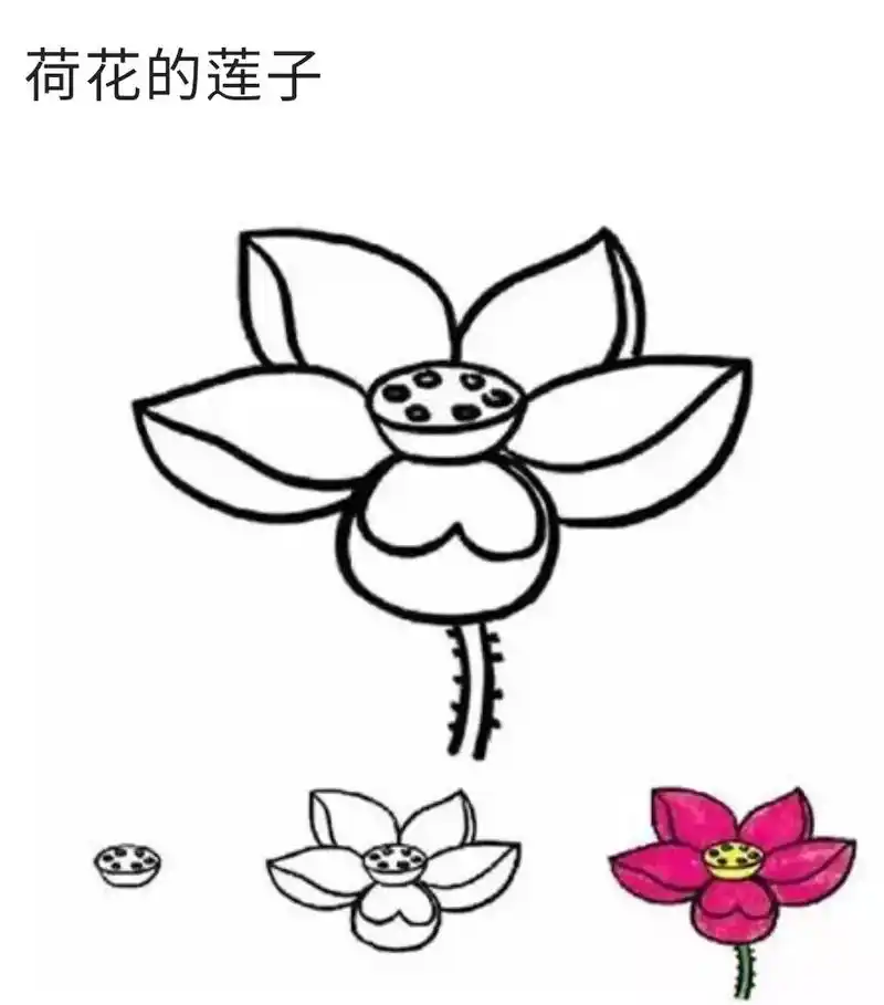 简笔画 #图文伙伴计划 荷花简笔画三笔画出荷 - 抖音