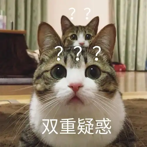 双重疑惑猫咪问号表情包