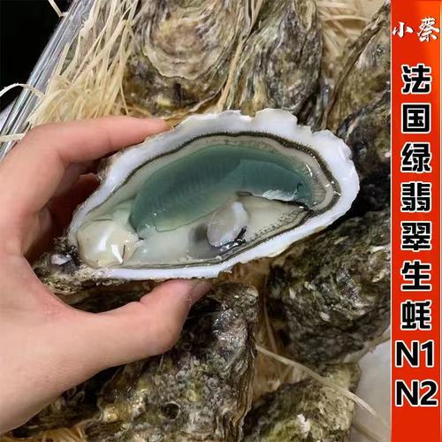 【法国绿翡翠生蚝】即食刺身鲜活牡蛎非吉拉多大生蚝1只价 绿宝石