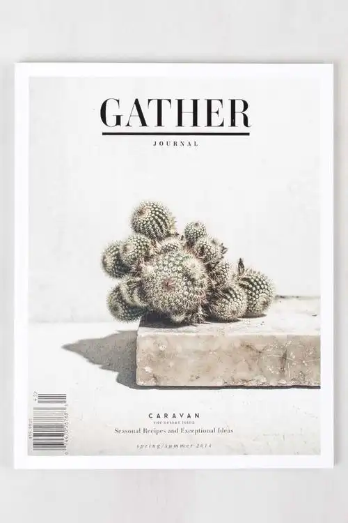 22个漂亮的杂志封面设计