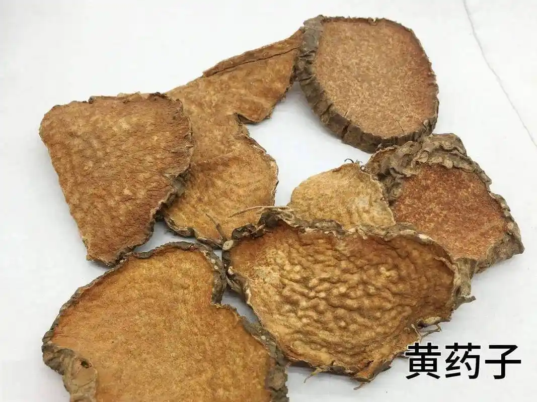 每天学习一味中药黄药子