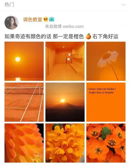 它以亮丽的橙色为色彩基调,金云母为高光渲染,强调了色彩极致的饱和度