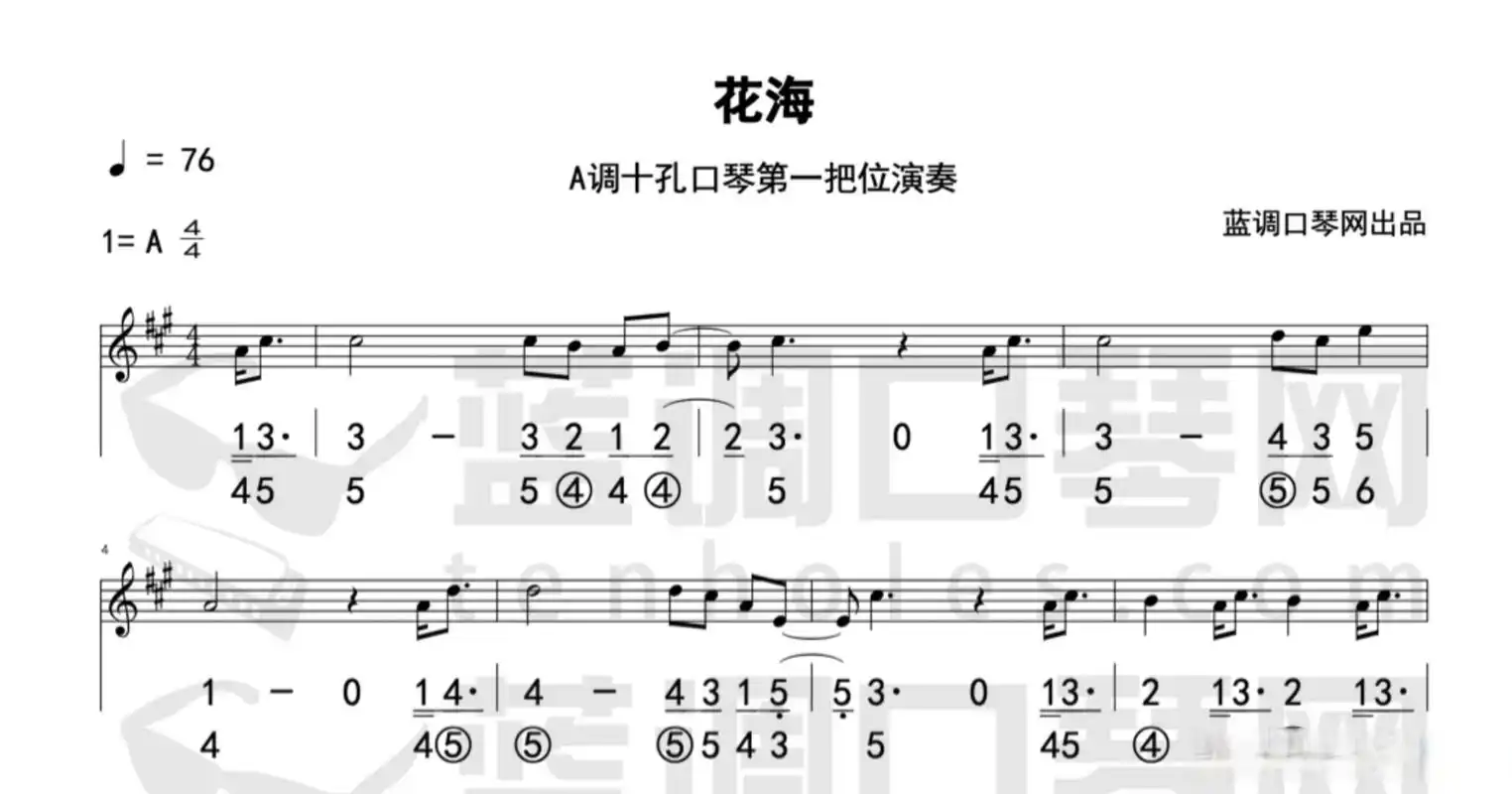 【曲谱更新】蓝调口琴演奏《花海》半音阶口琴演奏《i will follow