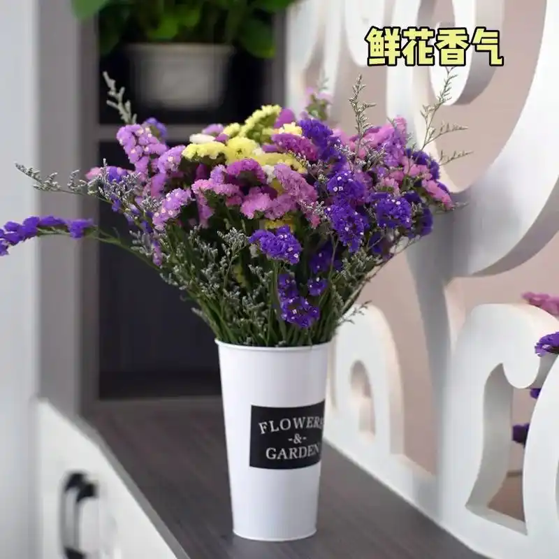 鲜艳勿忘我花束9698.勿忘我半干花花期1年,云南 - 抖音