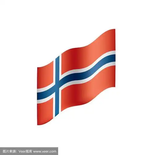 挪威国旗,矢量插图