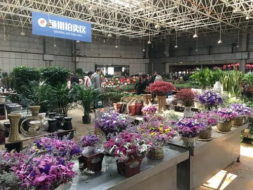 昆明最大的花卉批发市场