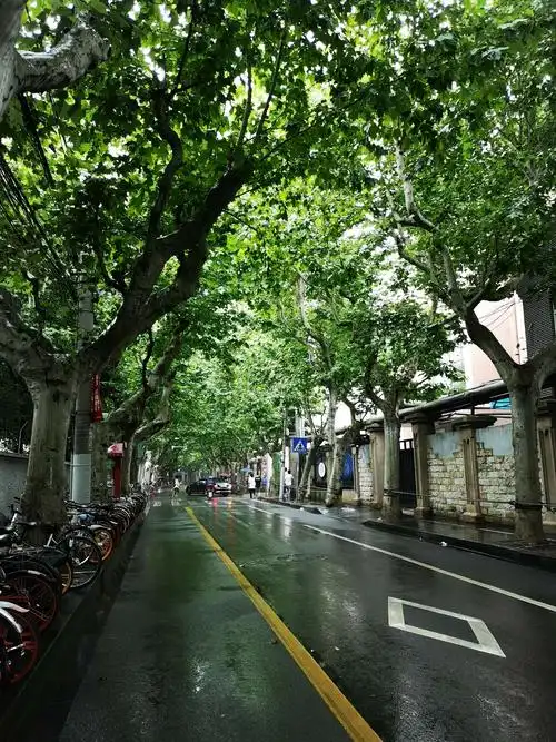 漫游雨中上海思南路—2019年9月4日