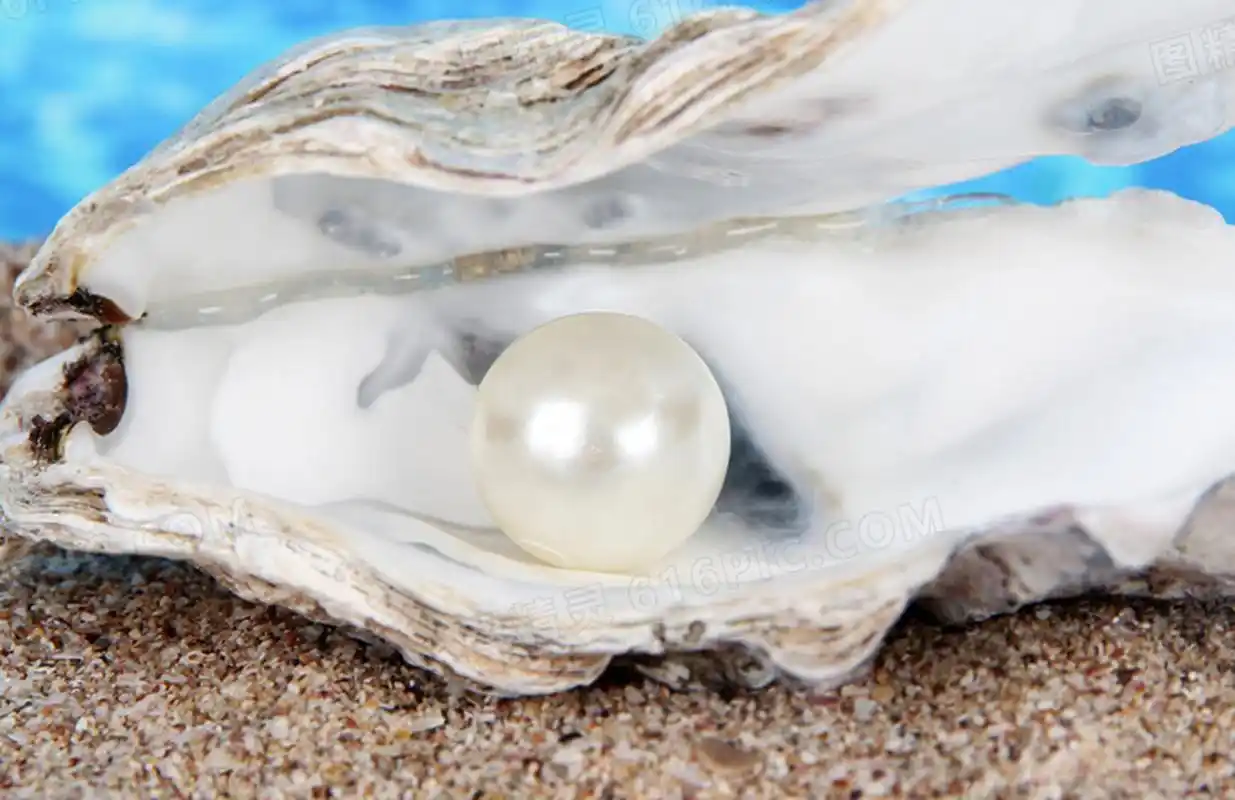 点击头像看直播##珍珠#人工养殖珍珠又分为海水养殖珍珠和淡水养殖