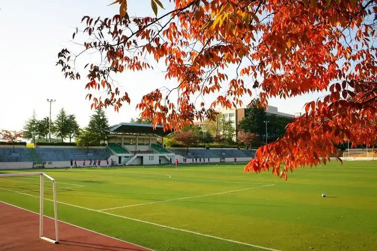 大邱大学共有两个校区,一个是位于庆山市的庆山校区(大学本部),另一个