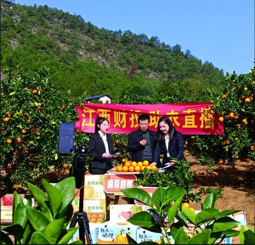 瑞金武阳镇脐橙直播间助农甜心田