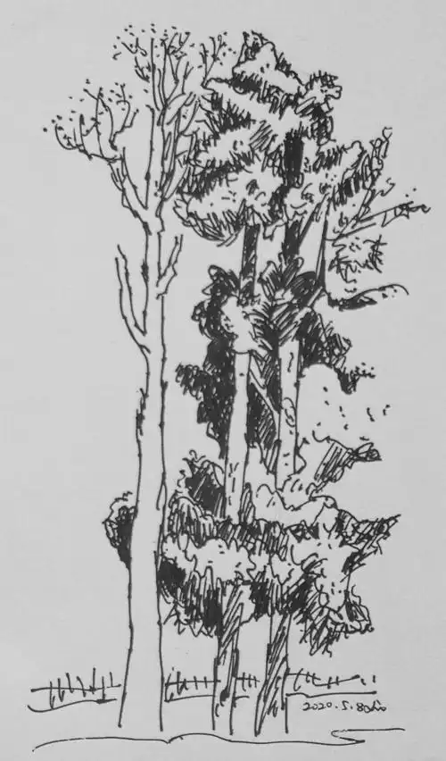 6)黄艾《水性笔风景速写》临摹2(2020.3-2020.12)