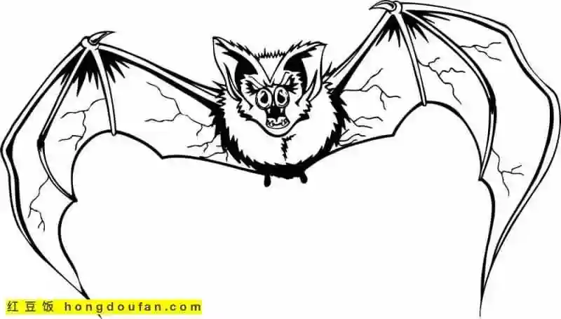 10张孩子们都喜欢的蝙蝠卡通涂色简笔画-红豆饭小学生简笔画大全