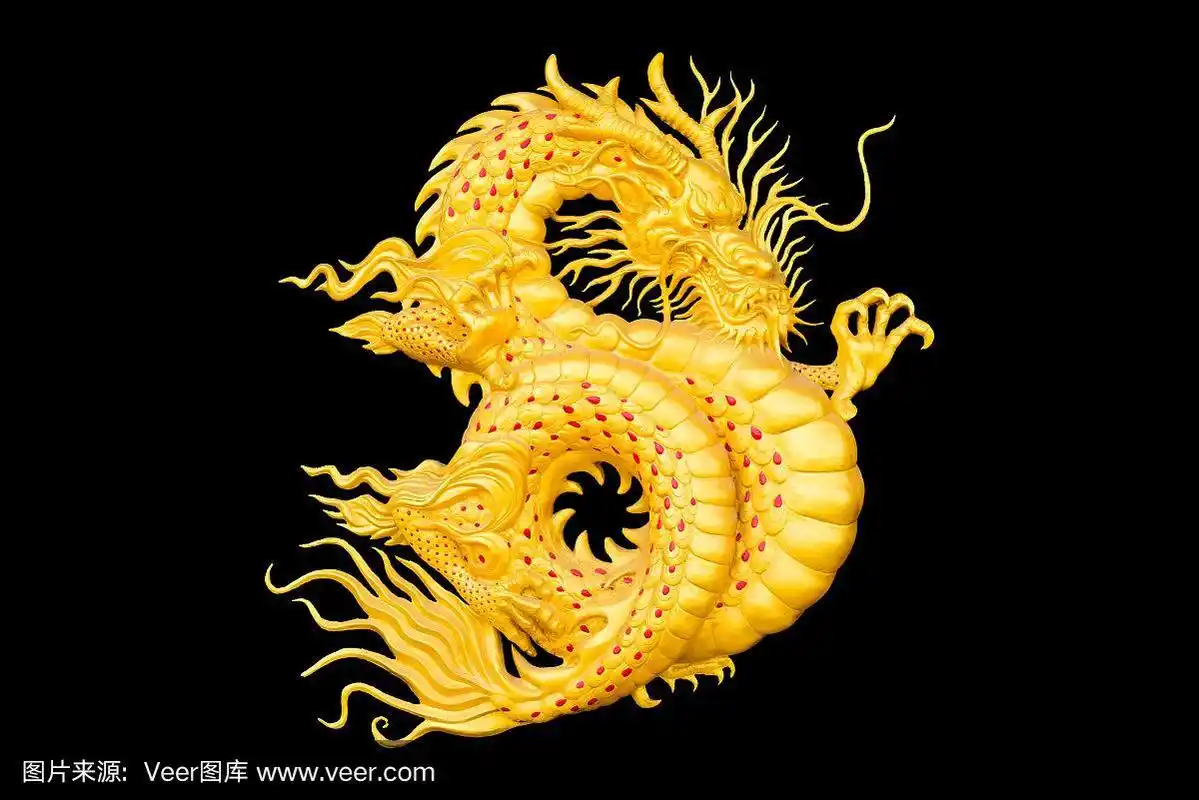 黑色背景的中国新年金龙.