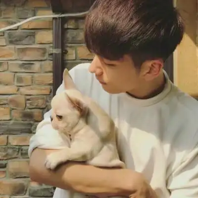 【虎斑收录】男生头像 网红 头像 清新 唯美 可爱 男头