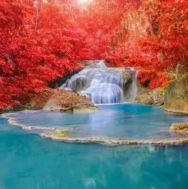 中老年头像大全成熟男人风景稳重高清头像