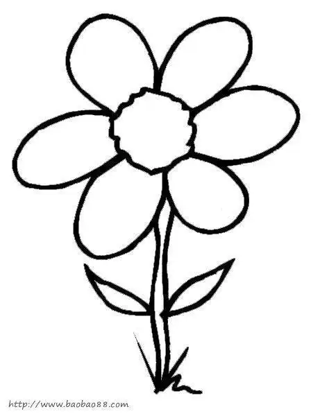 午时花简笔画步骤视频