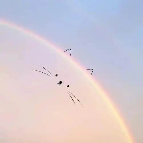 朋友圈背景图抖音封面背景图