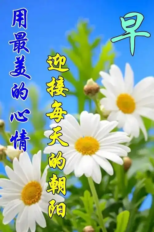 8张最新漂亮早上好问候动态鲜花图片带字 创意唯美夏日早上好问候动画