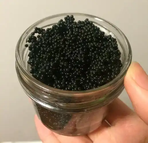 波士顿龙虾的做法大全图片(2)