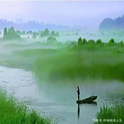 让一切淡然随心吧!