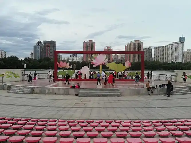 映日荷花别样红——摄于《莲花池公园》