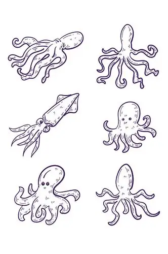 手绘线描章鱼装饰免抠