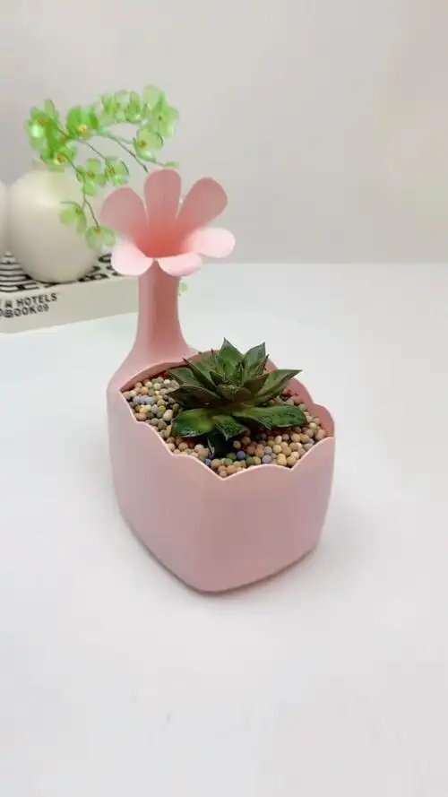 手工制作家里用完的洗衣液瓶不要扔教大家做一个花盆简单又好看