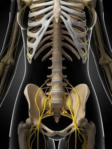 我们常听到身边的人出现坐骨神经痛,而且伴有放射性的发麻,无力的症状