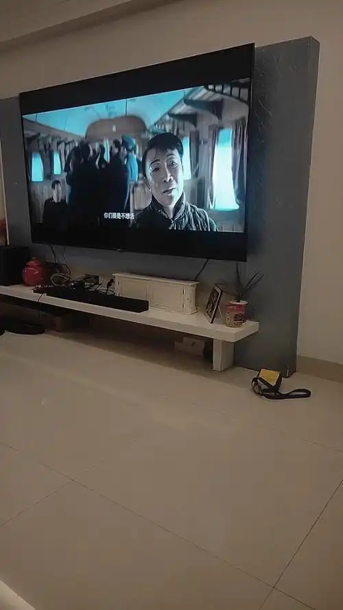 今天在家陪我妈看电视了.