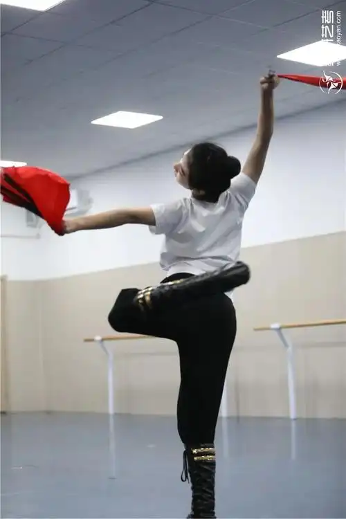 转给你身边的舞蹈生~_舞研艺考总部_零二七艺考