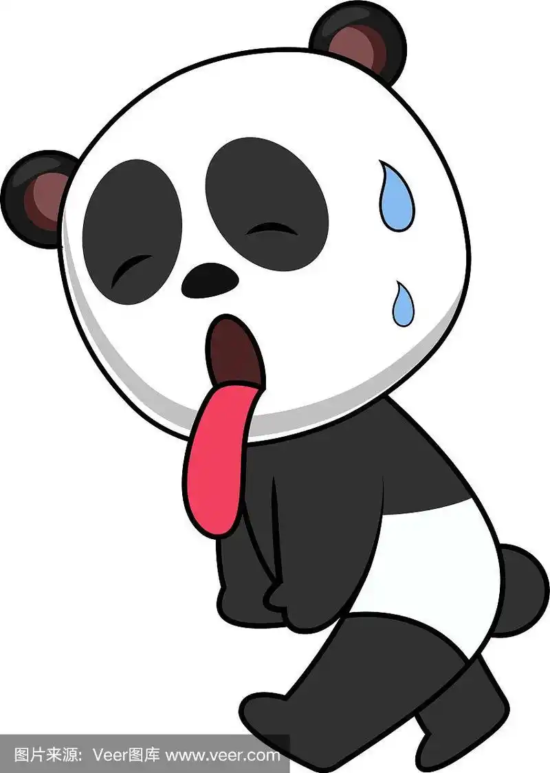 白色背景上疲惫的熊猫