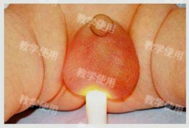 外科主治医师-相关专业知识(2020) - 正保医学教育网免费试听课堂