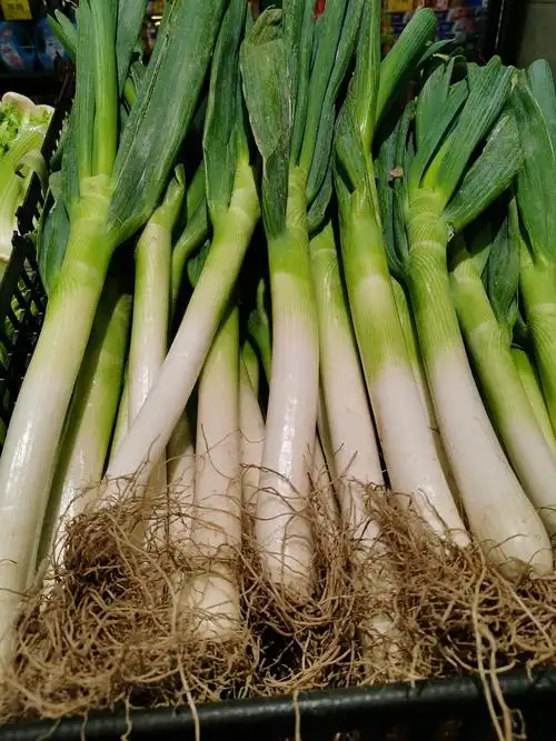 北方的朋友们猜猜广州的大葱多少钱一斤