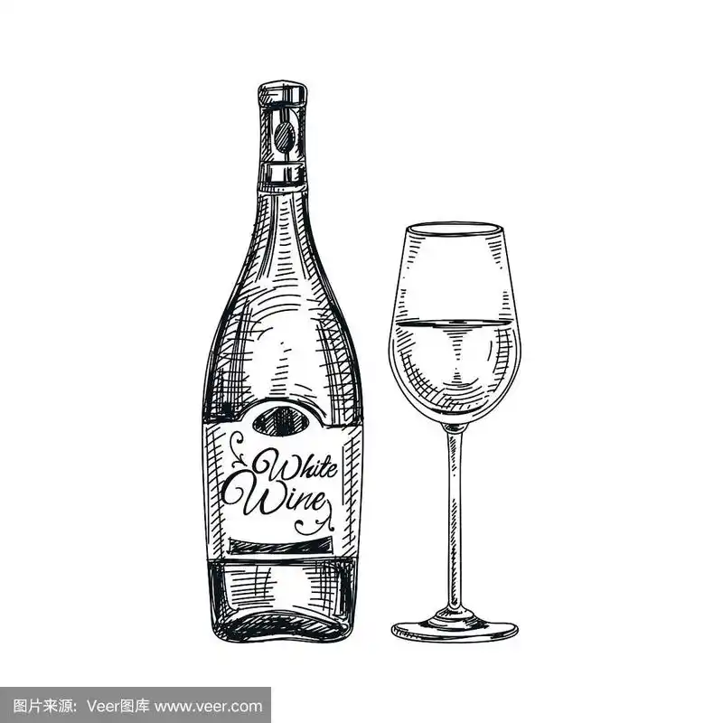 矢量手绘玻璃和酒瓶的葡萄酒插图