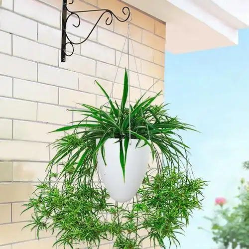 吊兰花盆北欧绿萝挂式懒人储水吊篮吊盆挂墙悬挂式垂吊盆栽吊蓝盆