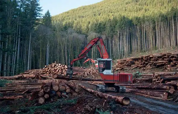 过度地砍伐树木