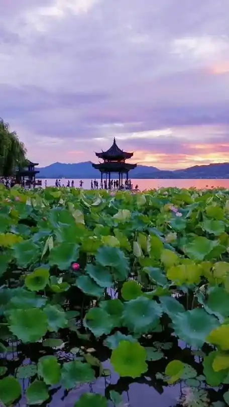 西湖美景,六月天哎 梅雨绵绵,荷叶连天 孤山不孤