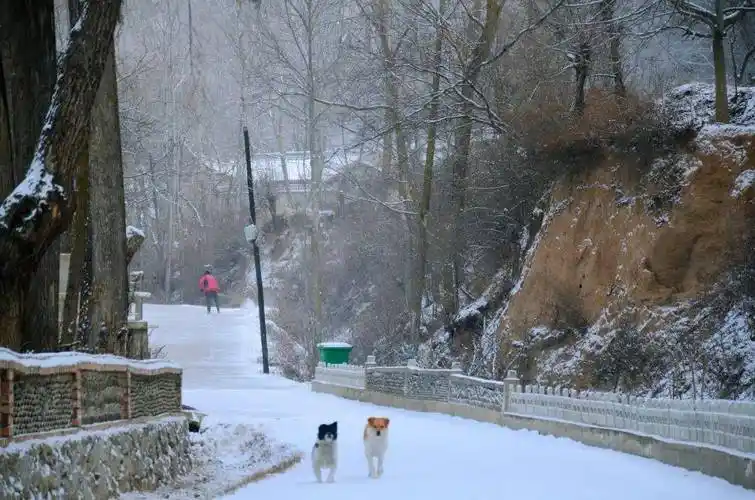 文化园地 | 徐瑞:山村雪景 别有风情