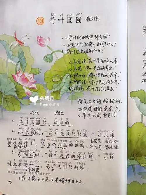 一语下13荷叶圆圆