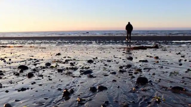 孤独的一个人背影意境