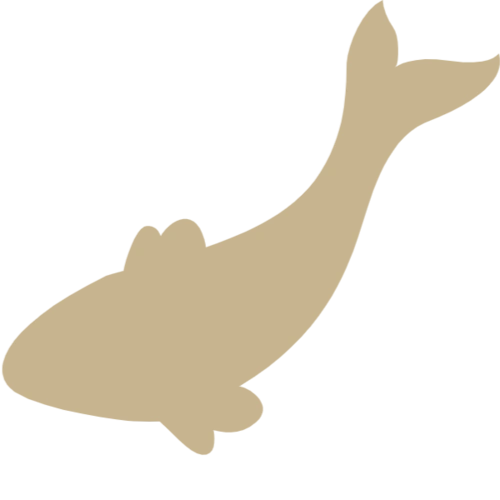 鱼动物剪影卡通鱼儿