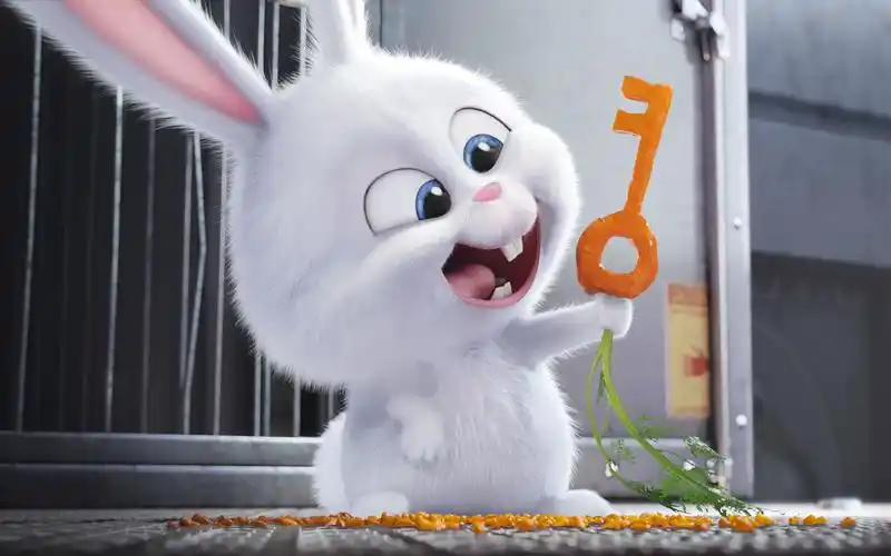 《爱宠大机密2》正式预告,萌萌哒的兔子又登上大银幕了