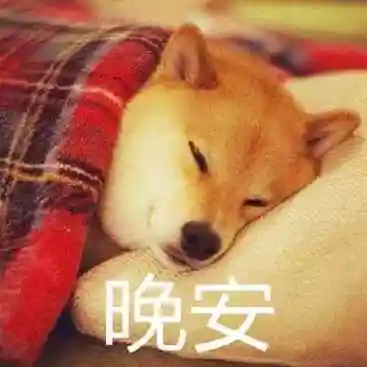 晚安小短句搞笑