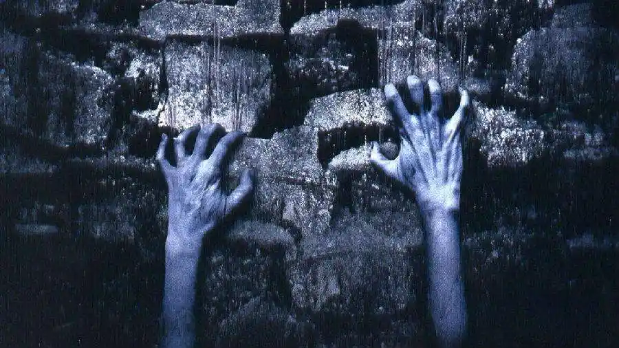 贞子是什么啊午夜凶铃诠释贞子含义